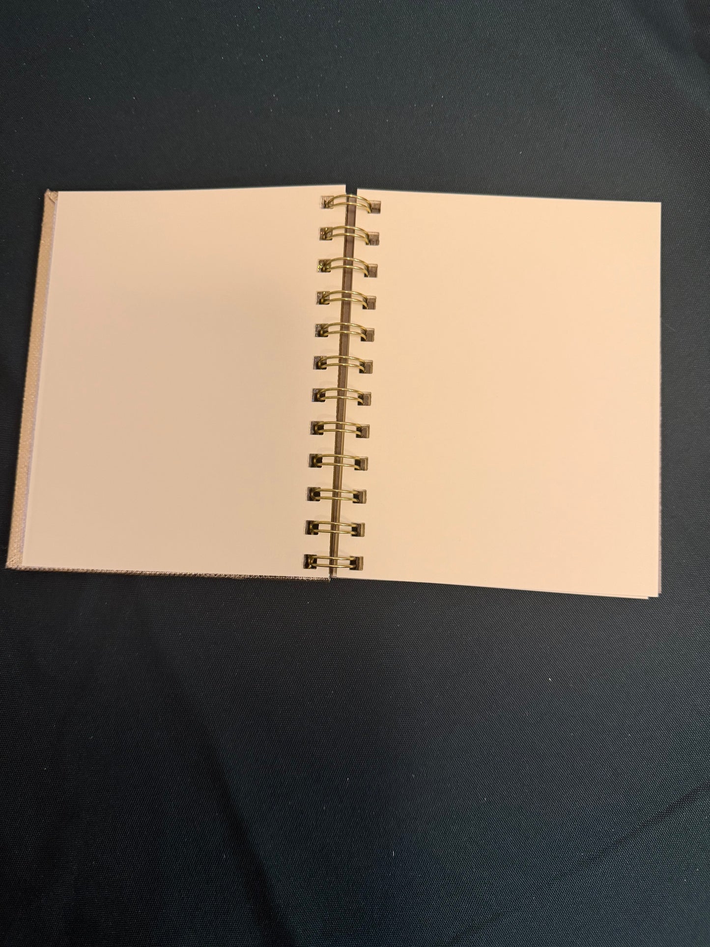 2025 Christmas Penguin bundle