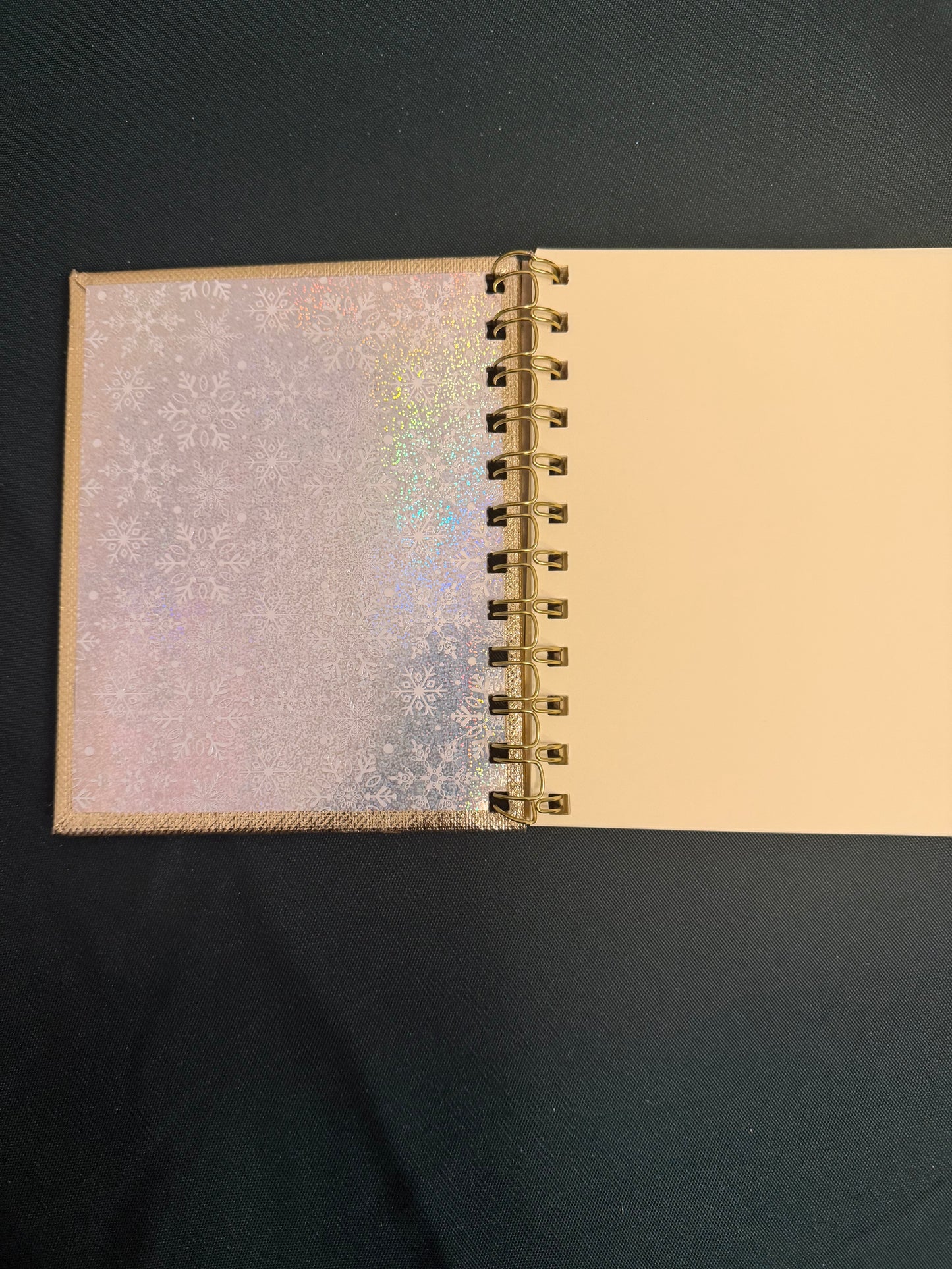 2025 Christmas Penguin bundle